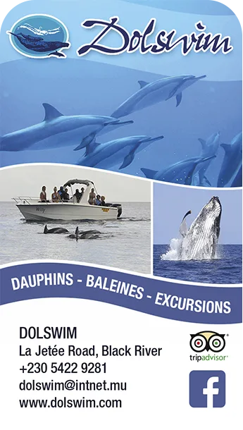 DOLSWIM