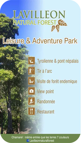 Lavilléon Natural Forest