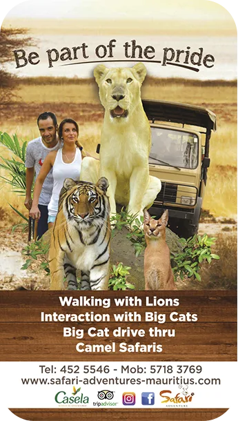 SAFARI ADVENTURES